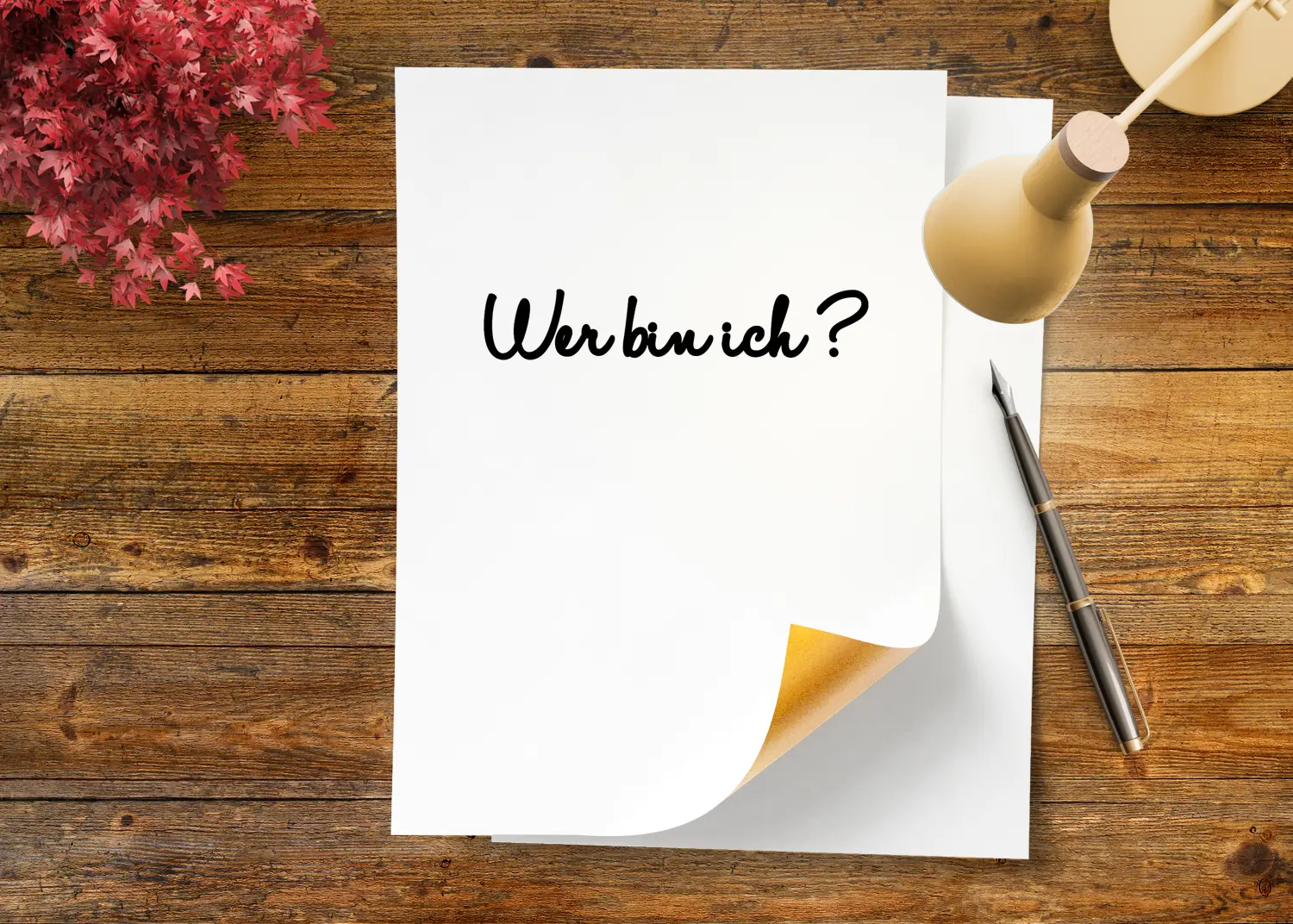Referenzbilder von Birgit Moschner-Coaching